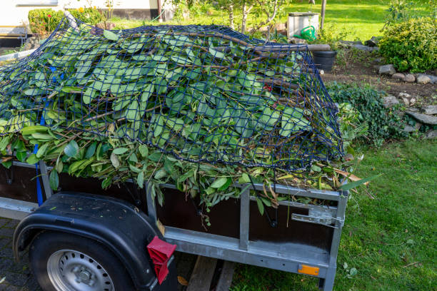 Best Hoarding Cleanup  in Holyoke, MA